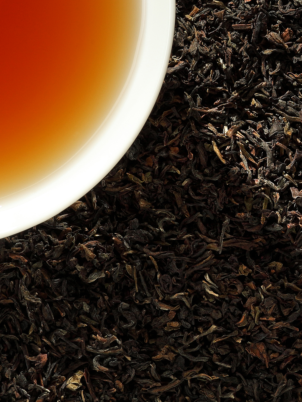 Bio Darjeeling Hochland Auslese