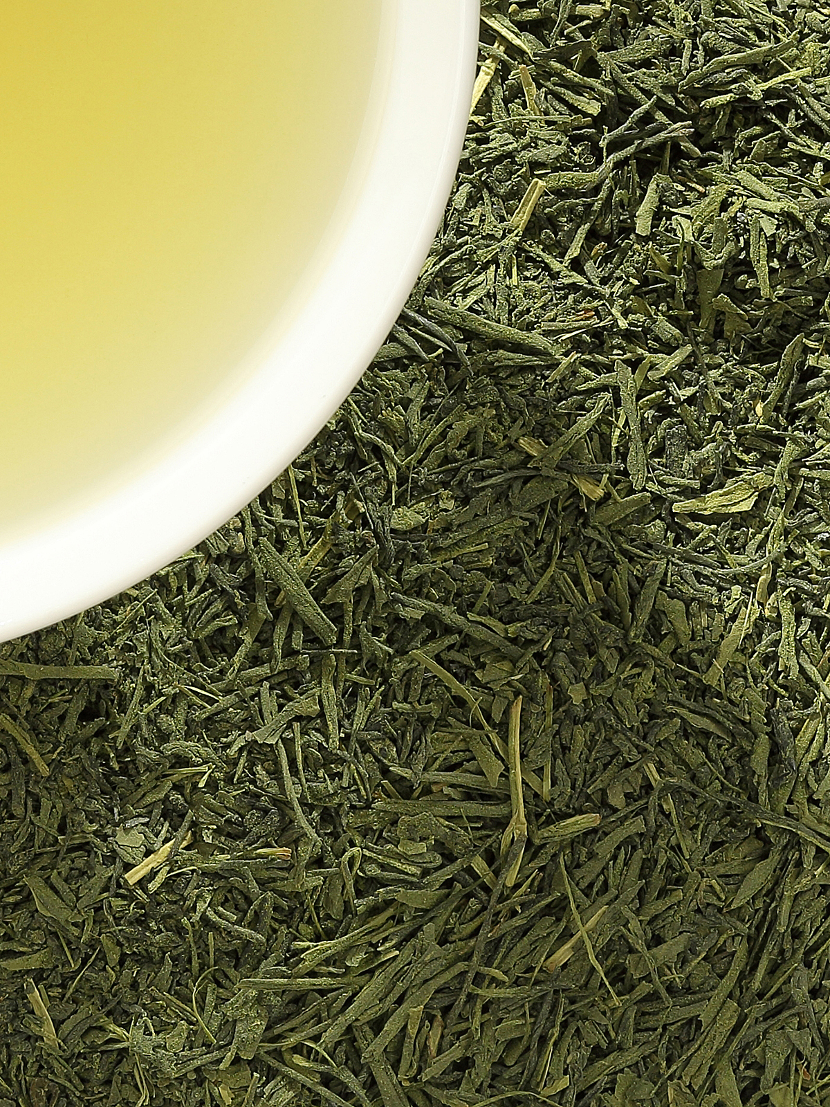 Bio Japan Sencha MORIMOTO mit Matcha